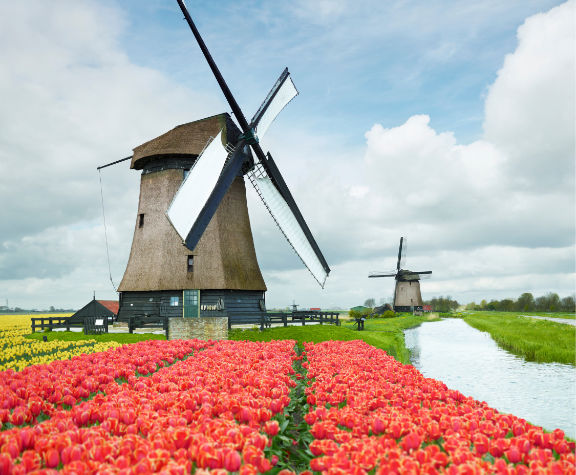 south-african-netherlands-landscape-windmills-renewable-energy